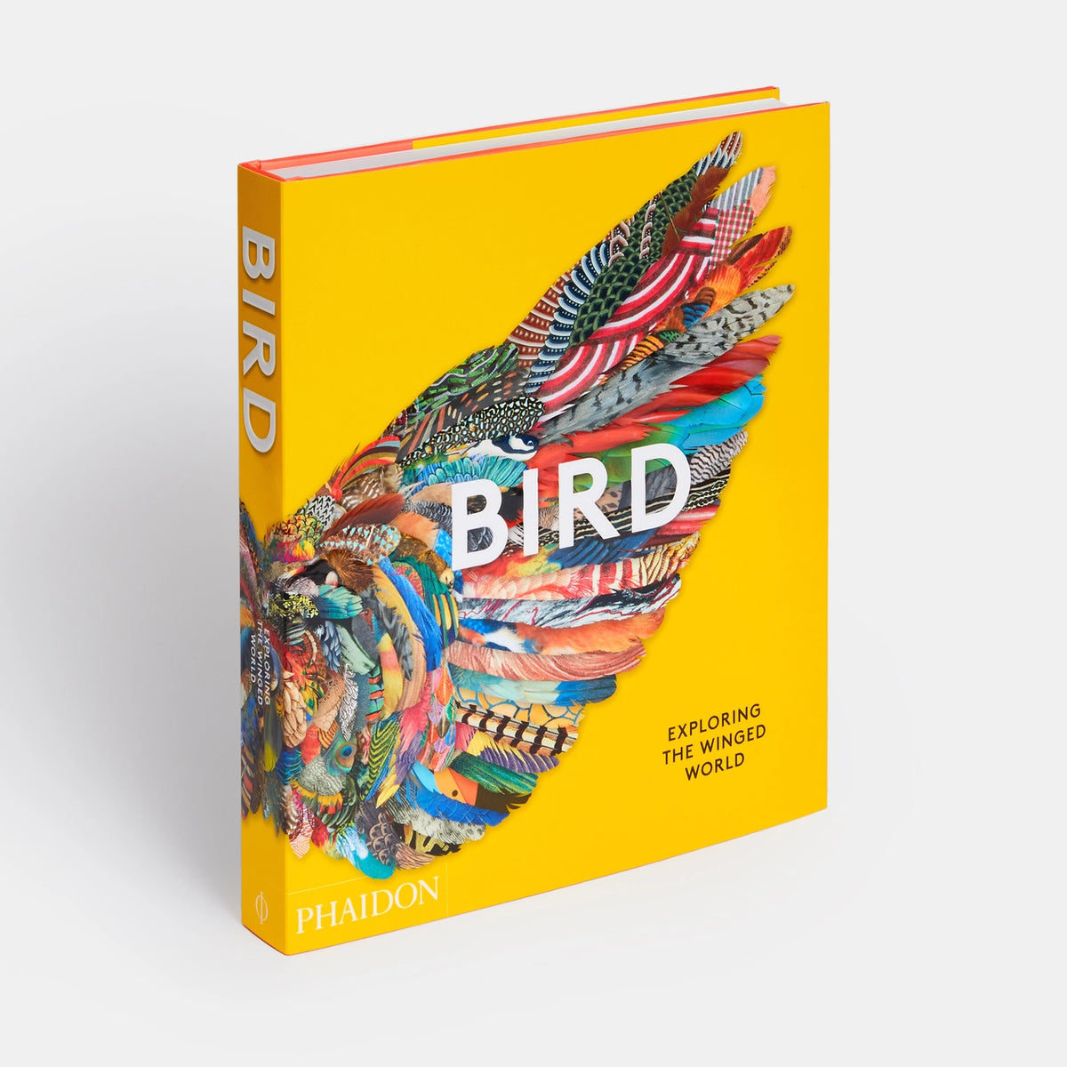 アート・デザイン・音楽 BIRDS and their World John Andrews Bird: Exploring the Winged World | Oriel Beth Horrocks Gallery