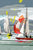 Regatta Tea Towel