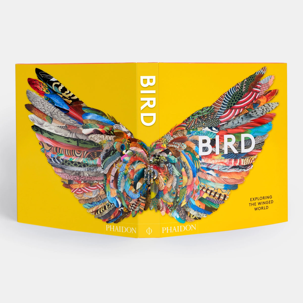bird-exploring-the-winged-