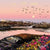 Porth Diana Canvas Print (Limited Edition)