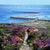 Breakwater Canvas Print (Ltd. Ed)