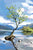 Lonely Tree Tea Towel