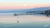 Manai Pink Moon Canvas Panoramic Print (Ltd. Ed.)