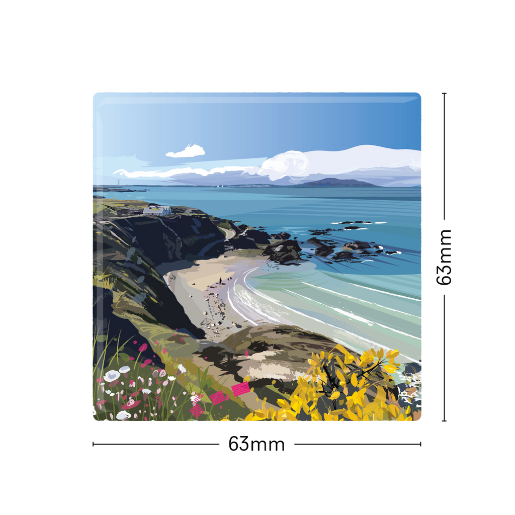 Porth Swtan Fridge Magnet