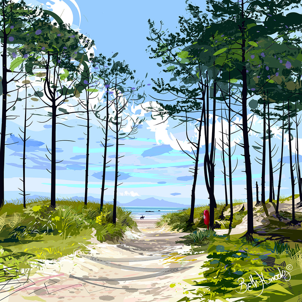 Pathway through the forest which leads you to the sea