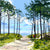 Pathway through the forest which leads you to the sea