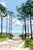 Through the Trees Tea Towel