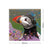 Pâl (Puffin) Fridge Magnet