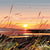 West Shore Sunset Canvas Print (Ltd. Ed)
